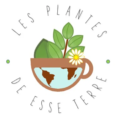 Les plantes de Esse Terre (54)